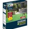 DCM Graszaad Grazio® Plus -Tuin Decor Verkoop dcm graszaad grazio plus 1586240791 1 l