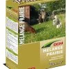 DCM Graszaad Praterio® -Tuin Decor Verkoop dcm graszaad praterio 1586240795 2 l