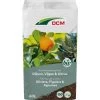 DCM Potgrond Olijven, Vijgen & Citrus 60 L -Tuin Decor Verkoop dcm potgrond olijven vijgen citrus 60 l 1000x1000 6483002cd5ce4 l