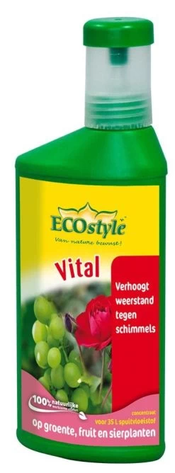 ECOstyle Vital Concentraat 250 Ml