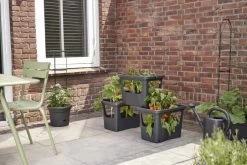 Elho Plantenbak Green Basics Stack & Grow Large Zwart -Tuin Decor Verkoop elho plantenbak green basics stack grow large zwart 800x534 620e3d4fc59c1 l