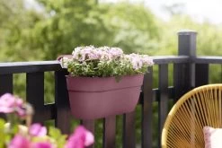 Elho Plantenbak Vibia Campana Easy Hanger Large Roze 13 Elho Plantenbak Vibia Campana Easy Hanger Large Roze -Tuin Decor Verkoop elho plantenbak vibia campana easy hanger large roze 800x534 620e3ce9641e3 l