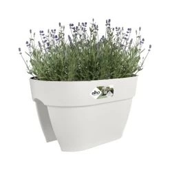 Elho Plantenbak Vibia Campana Flower Bridge 40cm Wit 10 Elho Plantenbak Vibia Campana Flower Bridge 40cm Wit -Tuin Decor Verkoop elho plantenbak vibia campana flower bridge 40cm wit 800x800 620e3d218fe0f l