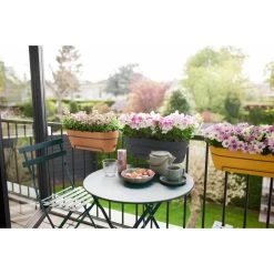 Elho Vibia Campana Balkonbak 50 Cm Bruin -Tuin Decor Verkoop elho vibia campana balkonbak 50 cm bruin 1000x1000 64aebb23cf8e7 l