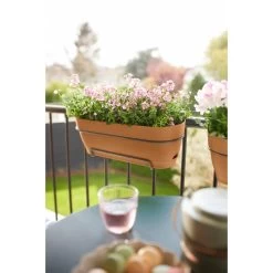 Elho Vibia Campana Balkonbak 50 Cm Bruin -Tuin Decor Verkoop elho vibia campana balkonbak 50 cm bruin 1000x1000 64aebb242c69a l