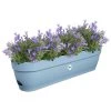 Elho Vibia Campana Balkonbak 70 Cm Blauw -Tuin Decor Verkoop elho vibia campana balkonbak 70 cm blauw 1000x1000 64aebb3d7b392 l