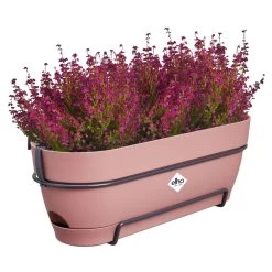 Elho Vibia Campana Balkonbak Allin1 50 Cm Roze -Tuin Decor Verkoop elho vibia campana balkonbak allin1 50 cm roze 1000x1000 64aebb023d96d l