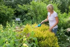 GARDENA Accu Gras- En Buxusschaar Set Accucut Li -Tuin Decor Verkoop gardena accu gras en buxusschaar set accucut li 1619704816 l