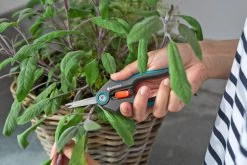 GARDENA FreshCut -Tuin Decor Verkoop gardena freshcut 1500x1000 640af81397952 l