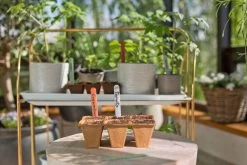 GARDENA FreshCut Set 9 GARDENA FreshCut Set -Tuin Decor Verkoop gardena freshcut set 1500x1000 640af81aaa70a l