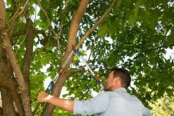 GARDENA Takkenschaar TeleCut Long 650-900 B -Tuin Decor Verkoop gardena telecut long 650 900b 1500x1001 640af7f15744f l