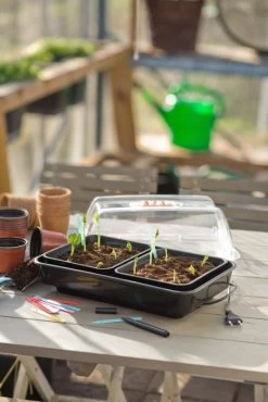 Nature Kweekkas Verwarmd 38x24cm -Tuin Decor Verkoop nature kweekkas verwarmd 38x24cm 534x800 6214a026e40ab l