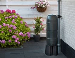 Nature Slimline' Regenton Groen - 100L -Tuin Decor Verkoop nature slimline regenton groen 100l 1582732977 l