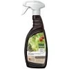 Pokon Bio Plantkuur Bladinsectgevoelige Planten Spray 750ml -Tuin Decor Verkoop pokon bio plantkuur bladinsecten spray 750ml 1614005884 l
