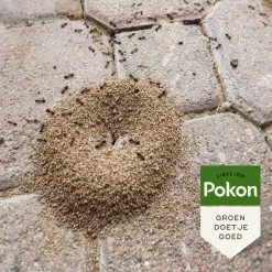Pokon Tegen Mieren Korrels 400gr -Tuin Decor Verkoop pokon tegen mieren korrels 400gr 1000x1000 6221fb52c5ede l