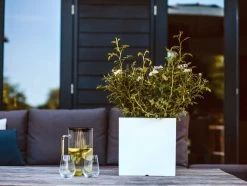 Pot Vierkant Wit - 20 X 20 X 20 Cm -Tuin Decor Verkoop pot vierkant i 20x20x20 wit 1000x754 620e6fddc8846 l