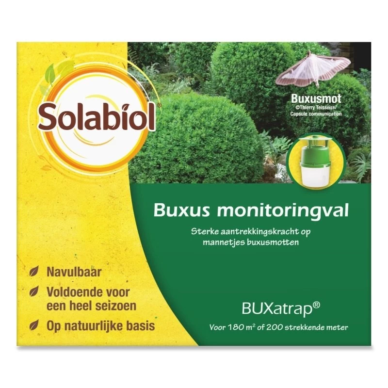 Solabiol BUXatrap Buxus Monitoringval 1 Stuk 3 Solabiol BUXatrap Buxus Monitoringval 1 Stuk