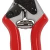 Talen Tools Professionele Snoeischaar Rood -Tuin Decor Verkoop talen tools professionele snoeischaar rood 308x1000 61d46a4d9bf0c l