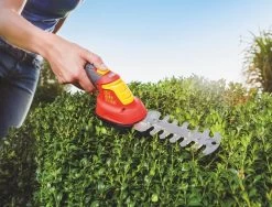 WOLF-Garten Accubuxus Finesse LI-ION PW 30B -Tuin Decor Verkoop wolf garten accubuxus finesse li ion pw 30b 1619177776 1 l